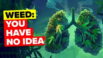 50 Insane Facts About Weed Preview