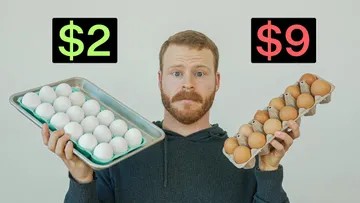 Are Expensive Eggs actually worth it? Preview