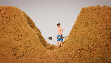 Why Are Beach Holes So Deadly? Preview