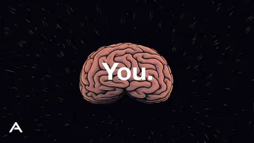 Nothing is Real Preview