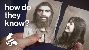 The ancient hook-up that changed humanity Preview