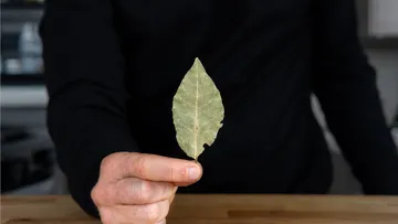 Do bay leaves actually do anything? Preview