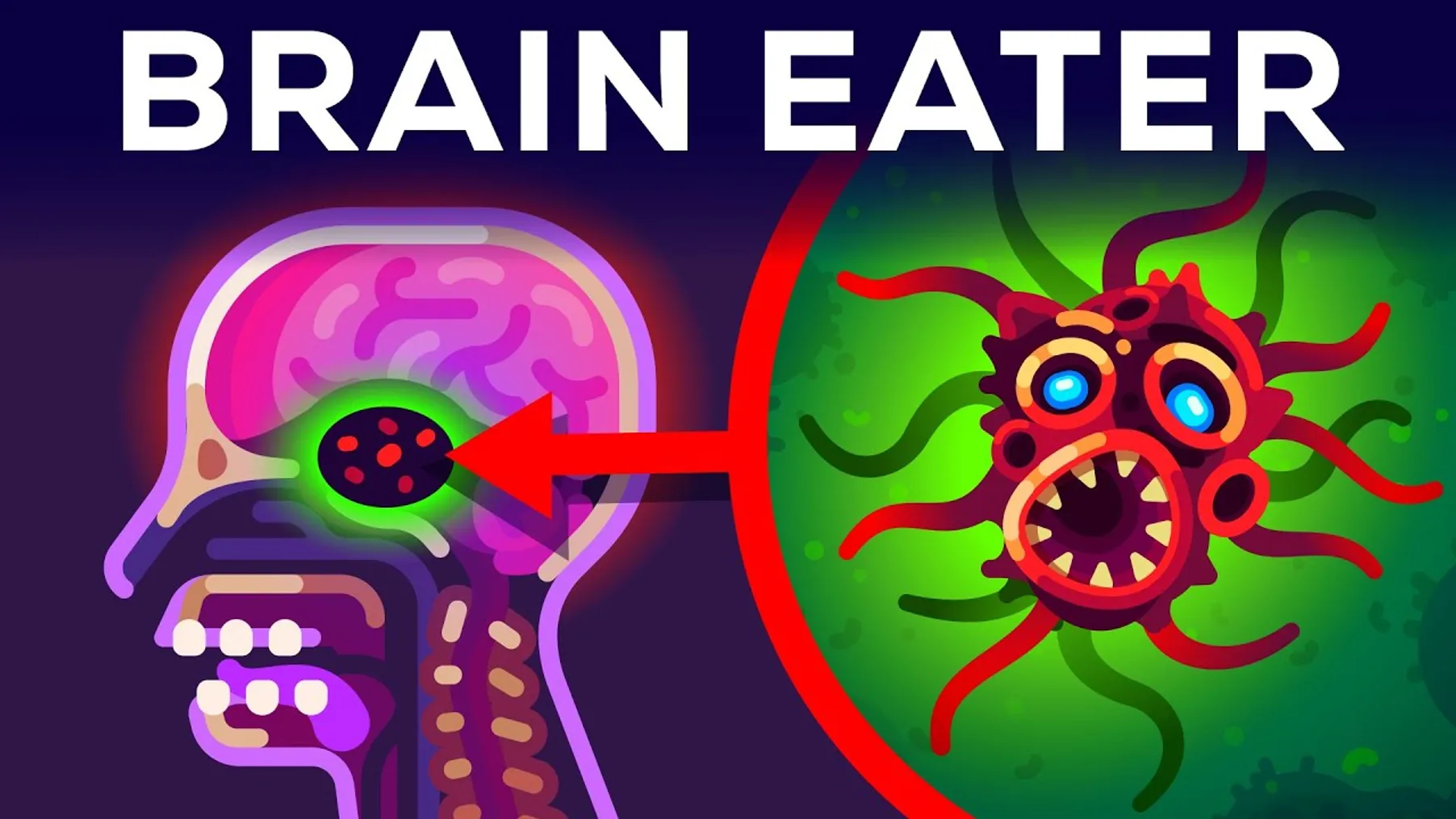 The Most Horrible Parasite: Brain Eating Amoeba Preview