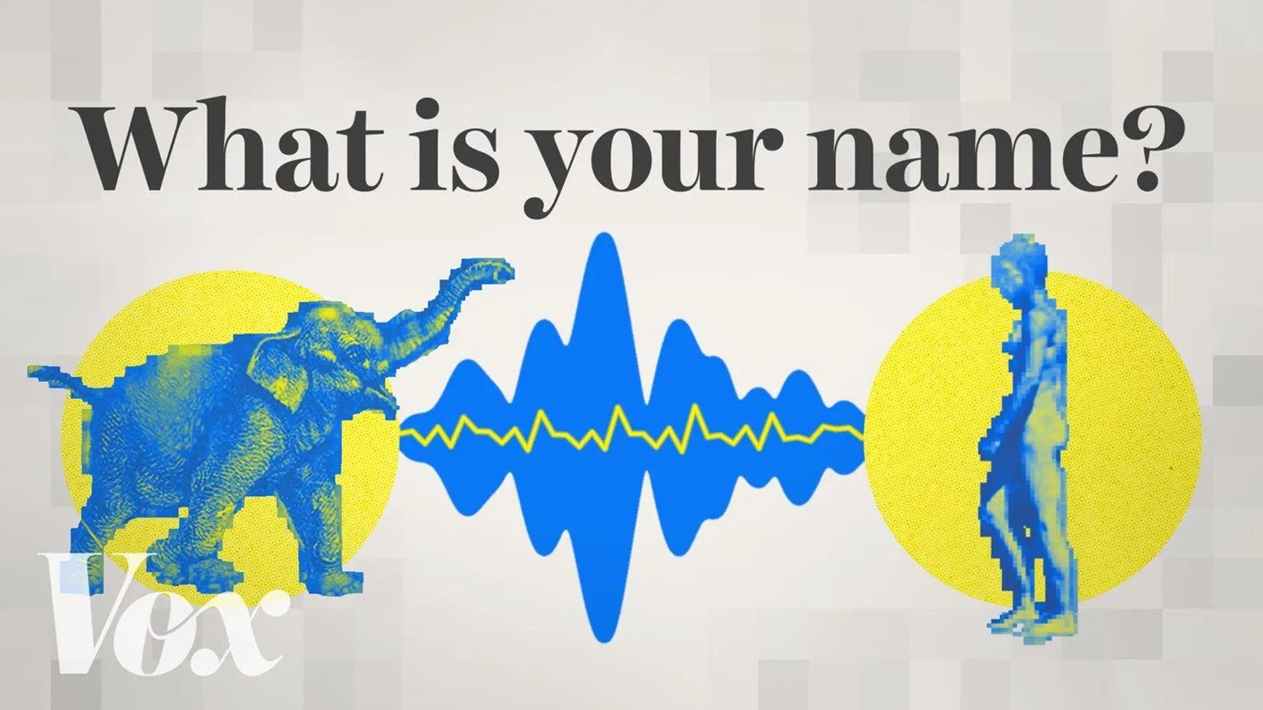 How AI could help us talk to animals Preview