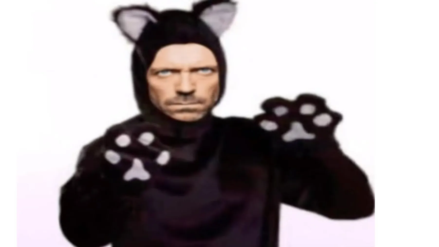 memes but if you laugh you become cat Preview