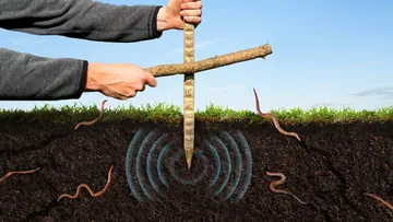 I Tried this Weird Trick to Summon Worms up from the Ground Preview