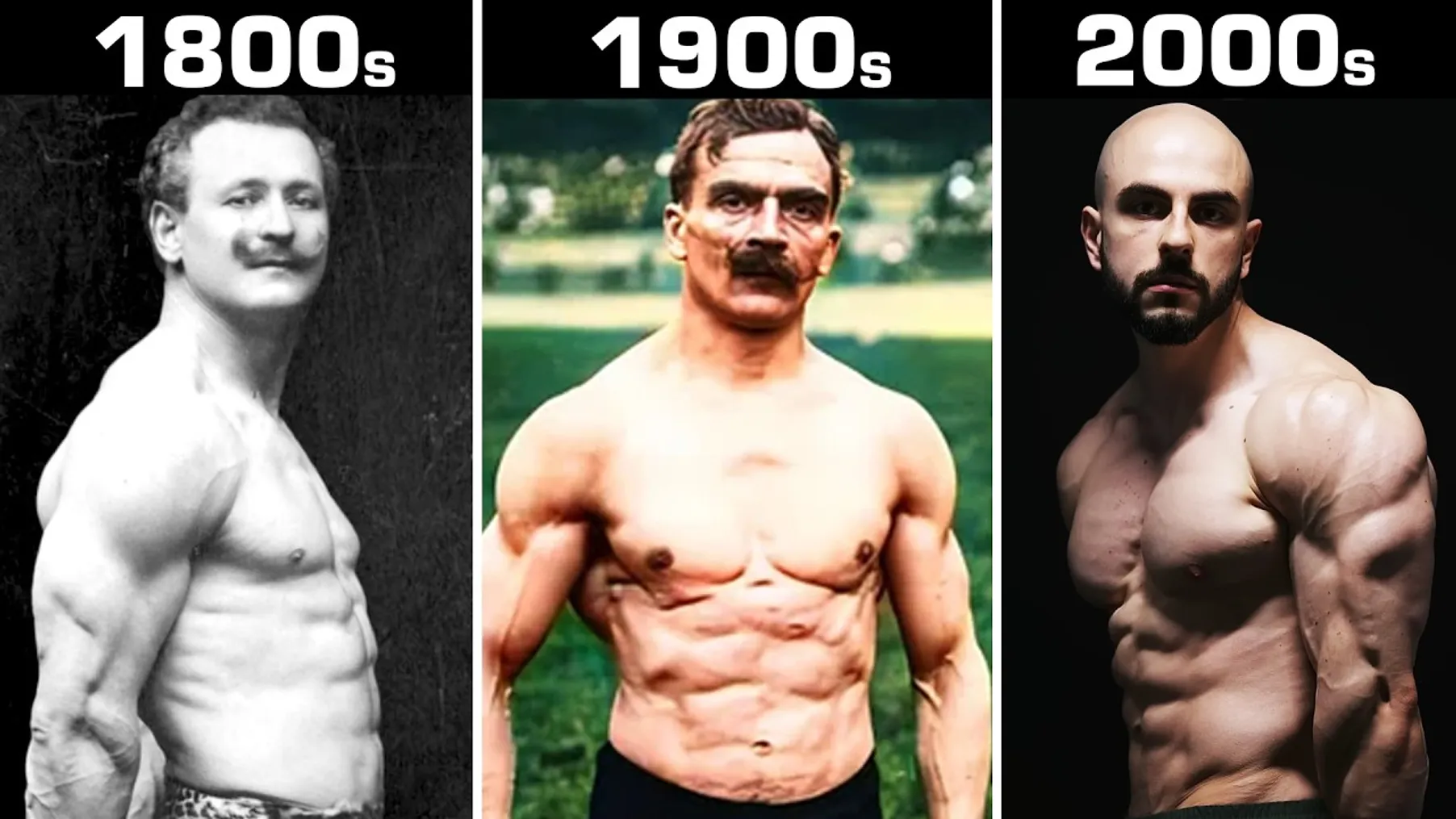 How Much Muscle Can You Gain Without Steroids? Preview