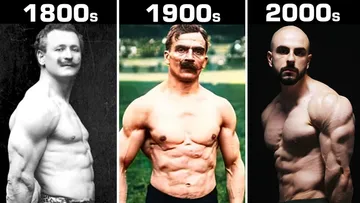 How Much Muscle Can You Gain Without Steroids? Preview