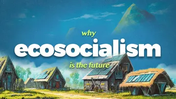 Why We Need Socialism Preview