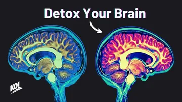 How I Reset My Dopamine Levels (And You Can Too) Preview