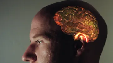 How to cure brain rot Preview