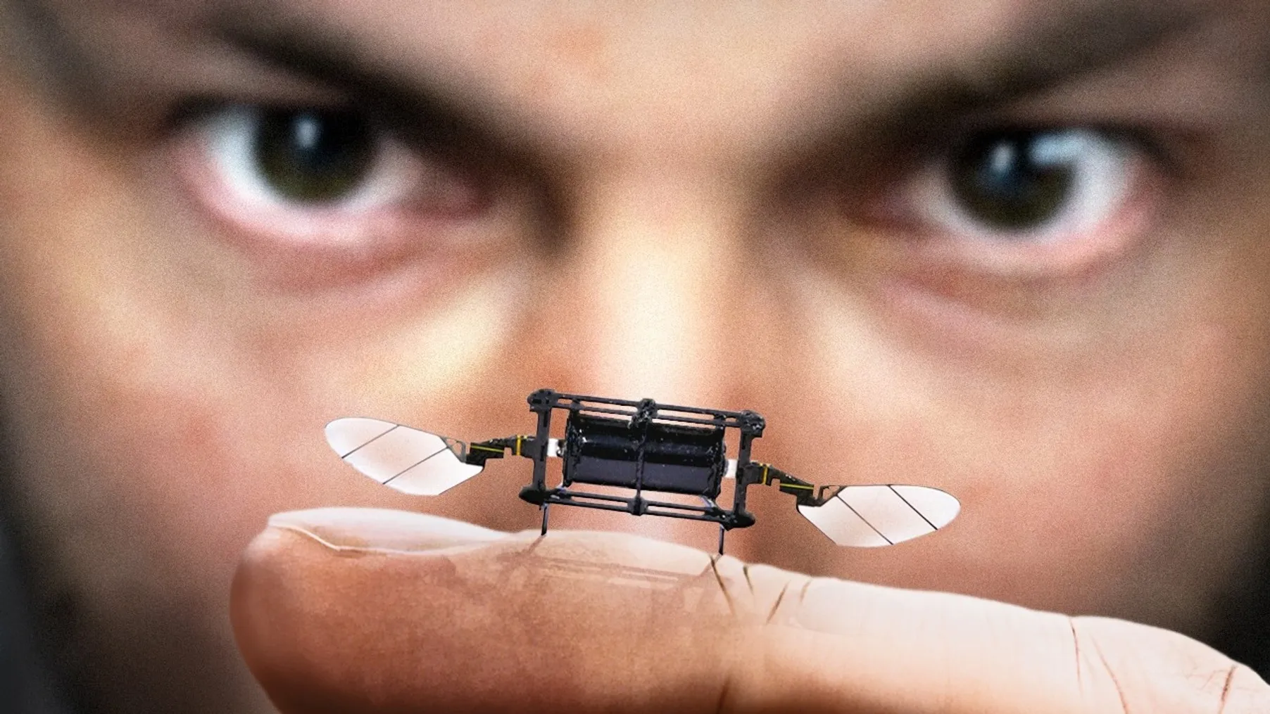 Why Is MIT Making Robot Insects? Preview