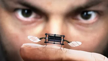 Why Is MIT Making Robot Insects? Preview