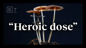 The “heroic dose” of psychedelics, according to Johns Hopkins | Dr. Matthew Johnson Preview
