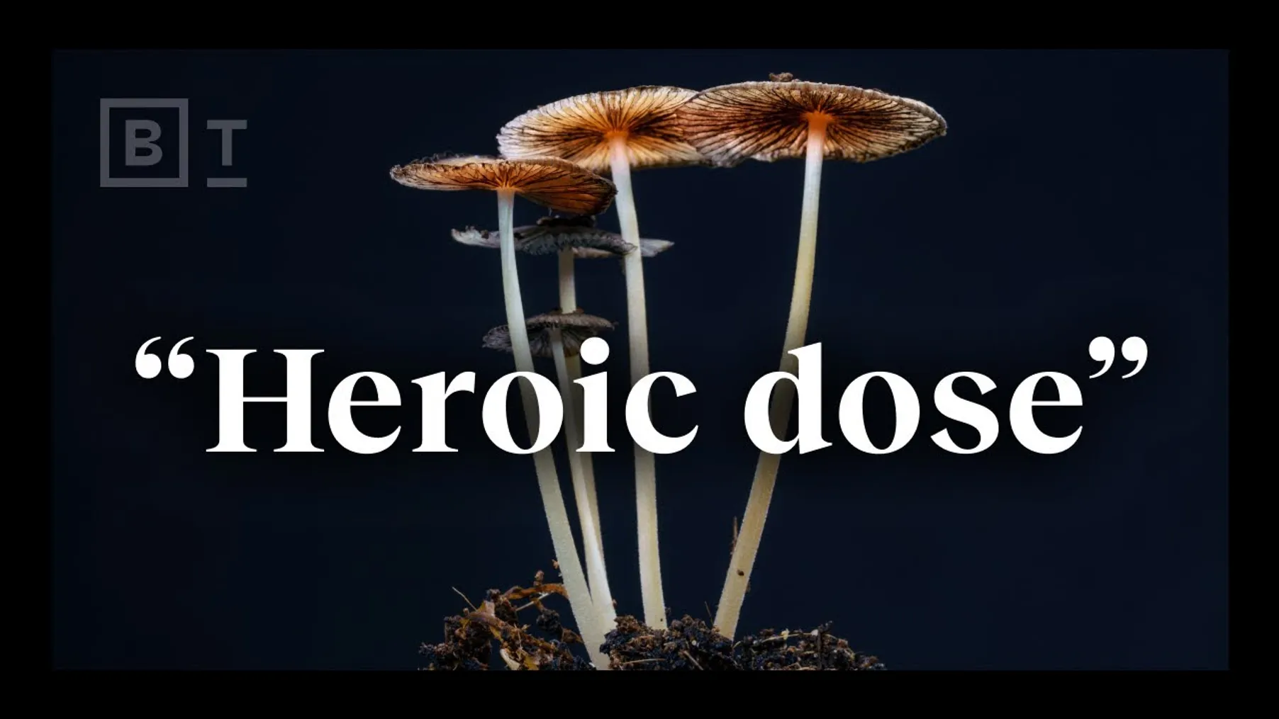 The “heroic dose” of psychedelics, according to Johns Hopkins | Dr. Matthew Johnson Preview