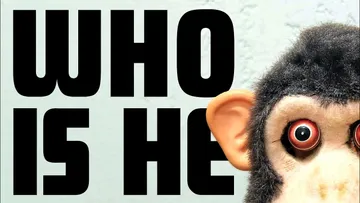 Where Did The Cymbal Monkey Come From? Preview