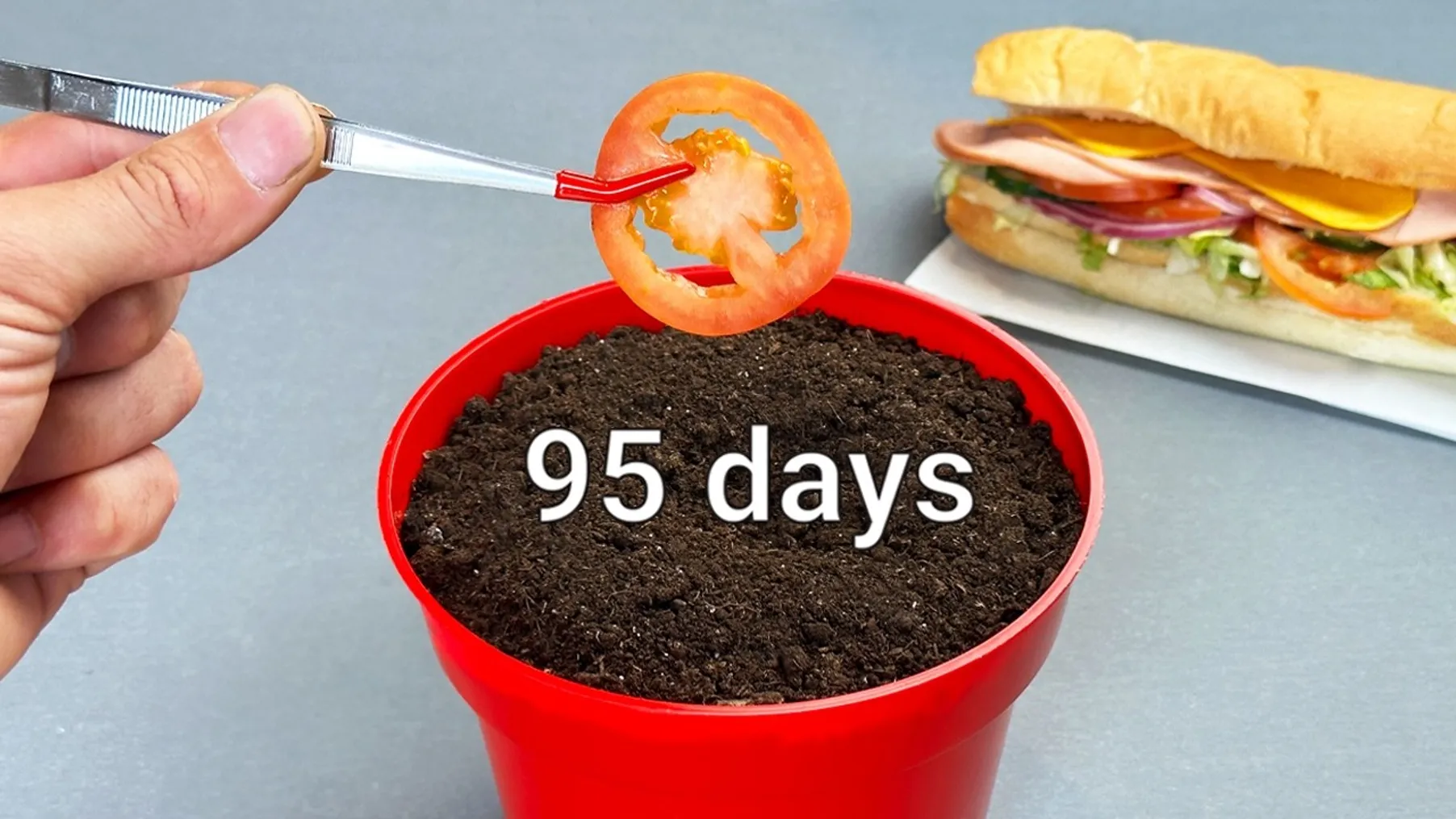 Can I Grow a Garden from a Subway Sandwich? Preview