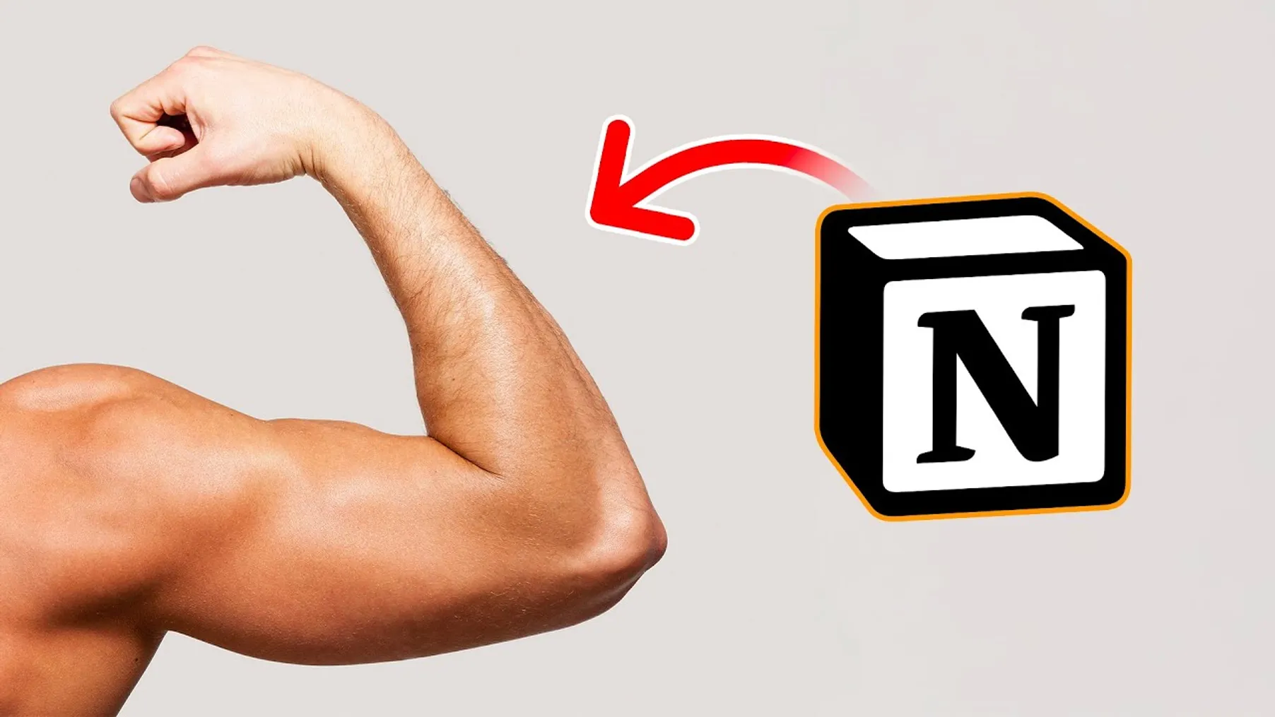 Build a Simple Workout Tracker in Notion (Full Tutorial) Preview