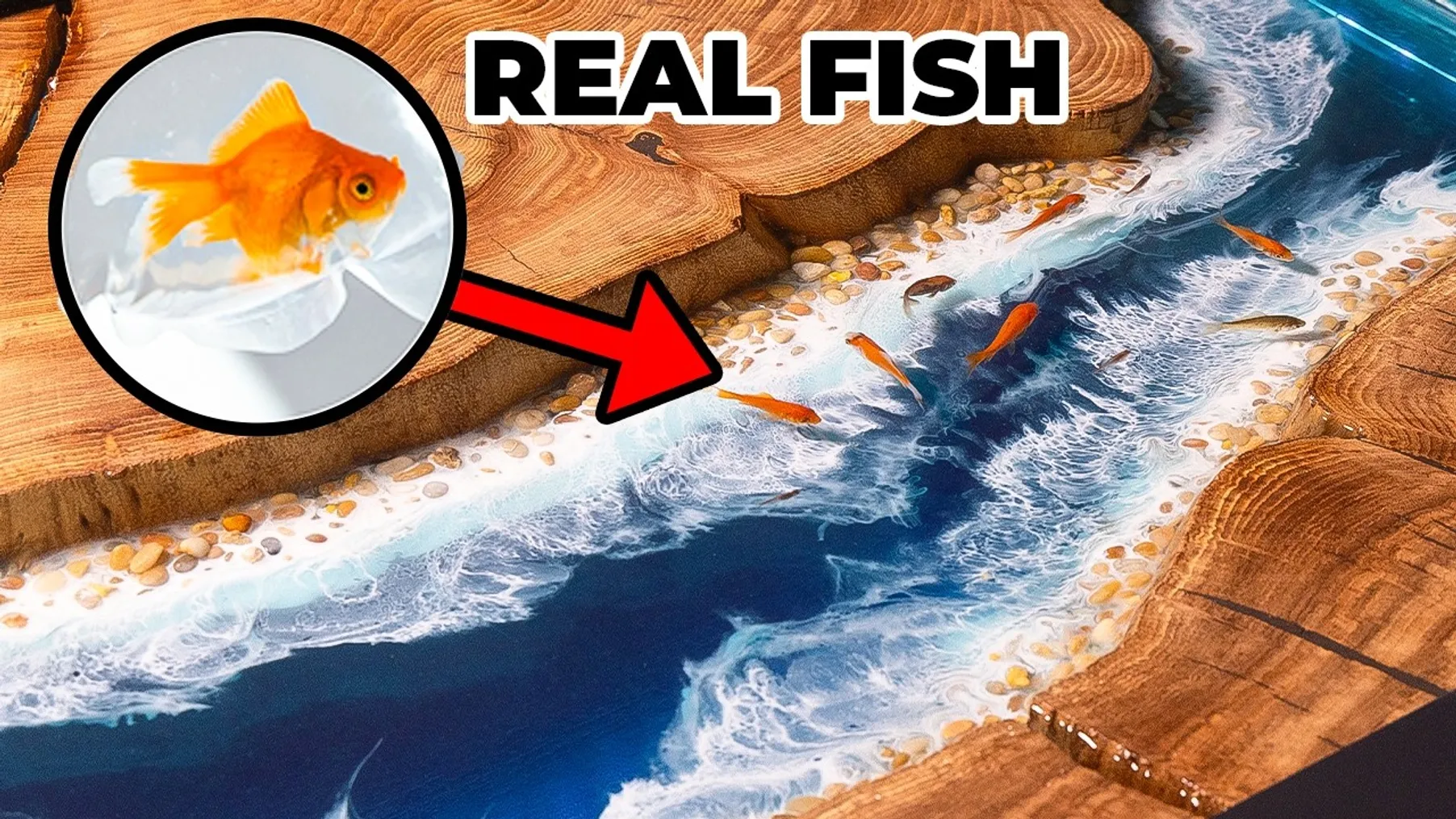 I Built a River Table for Real Fish Preview