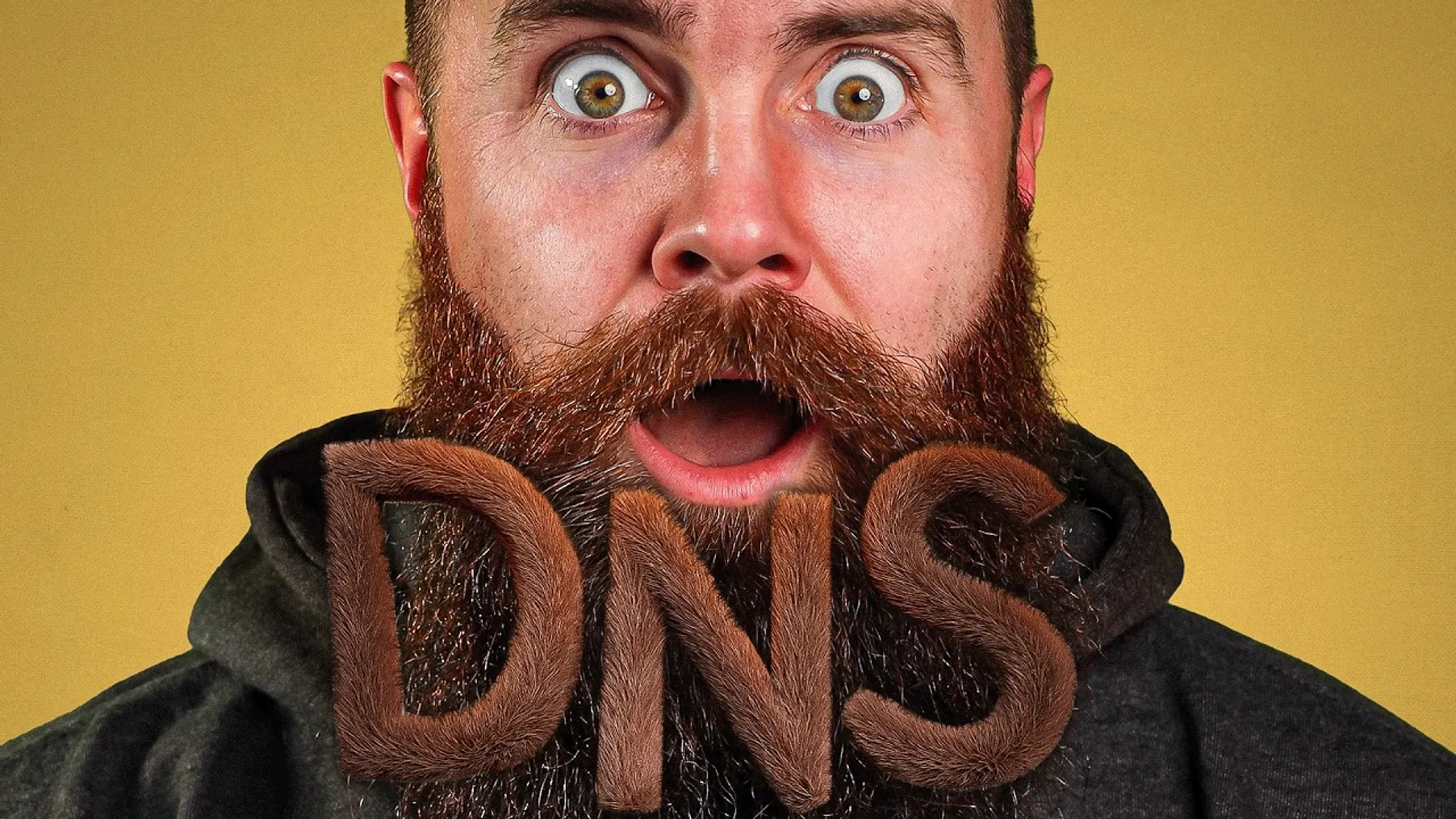 What is DNS? (and how it makes the Internet work) Preview
