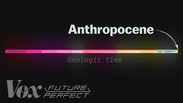 The debate over the Anthropocene, explained Preview