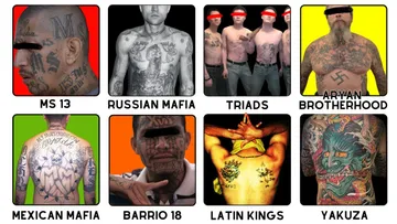 Every Notorious Gang Symbol Explained in 14 Minutes Preview