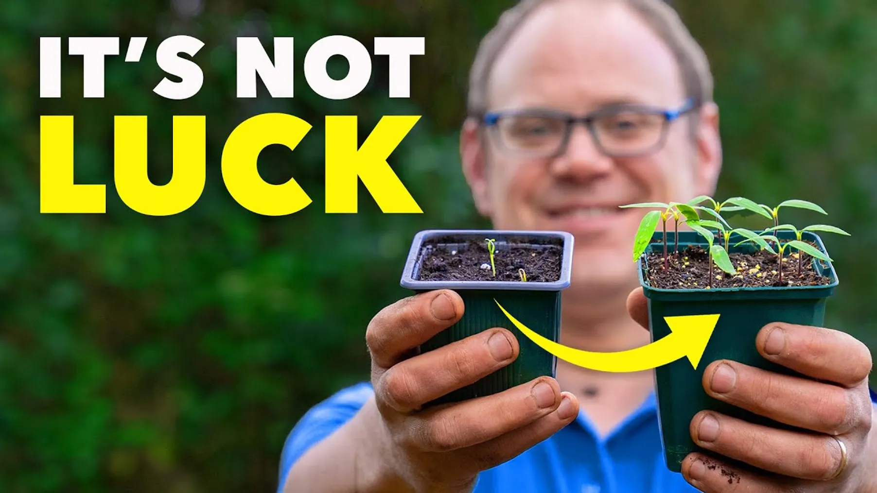 The Clever Way Smart Gardeners Stop Seedlings Dying Preview