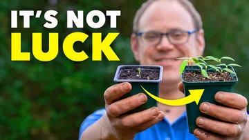The Clever Way Smart Gardeners Stop Seedlings Dying Preview