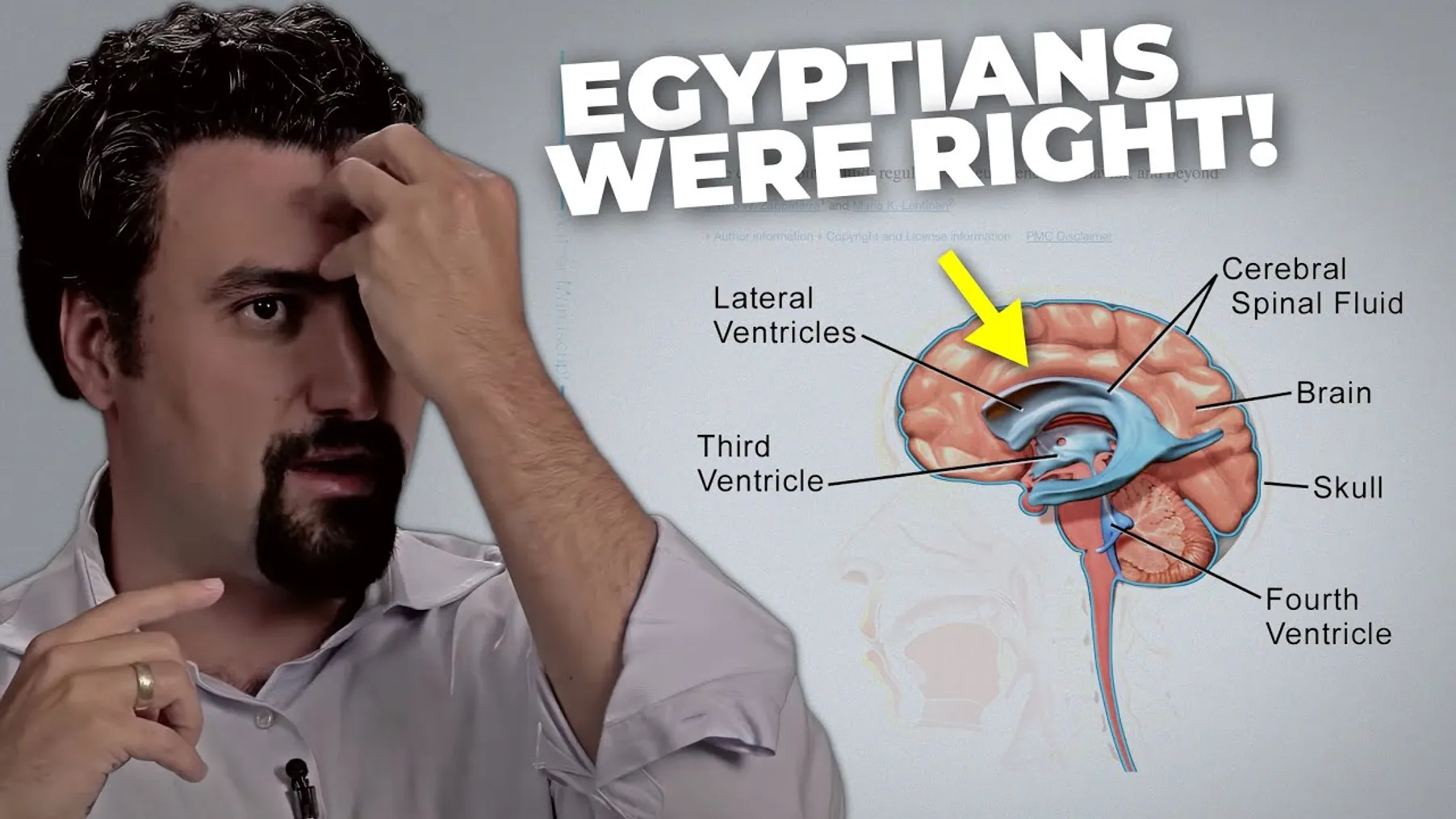 CONFIRMED STUDY: This Harvard Expert Shows How to Activate Your Third Eye Preview