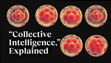 The beauty of collective intelligence, explained by a developmental biologist | Michael Levin Preview