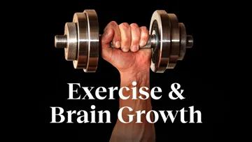 The #1 way to strengthen your mind is to use your body | Wendy Suzuki Preview