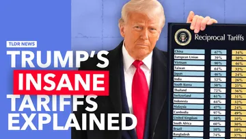 Trump Tariffs Everything: What Next? Preview