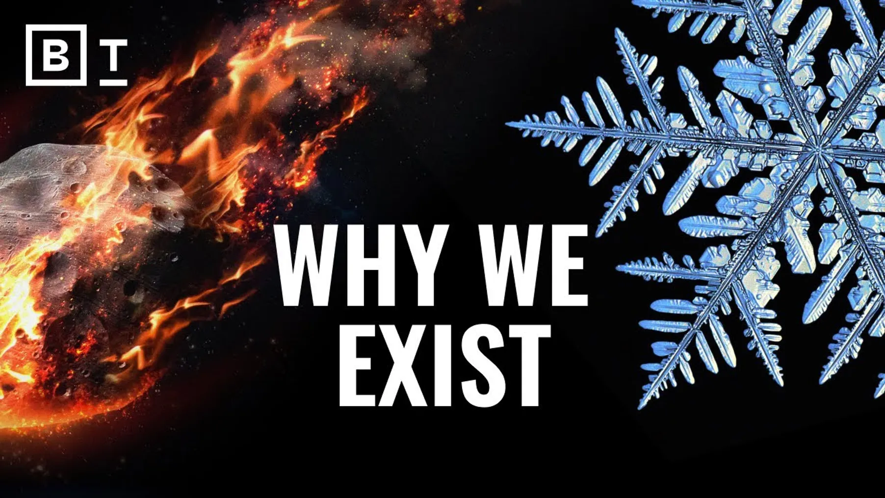 What are the chances of YOU existing? A biologist explains | Sean B. Carroll Preview