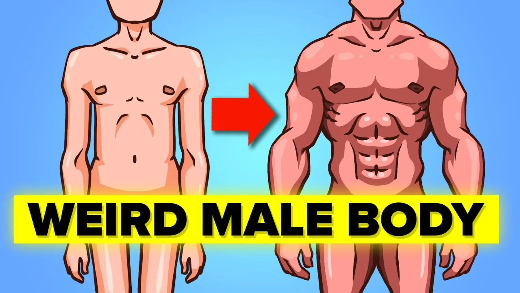 Weird Facts about Male Body Preview