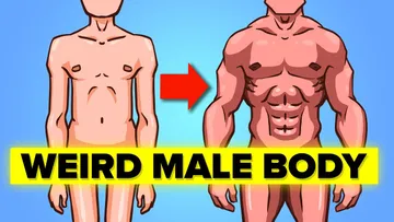 Weird Facts about Male Body Preview
