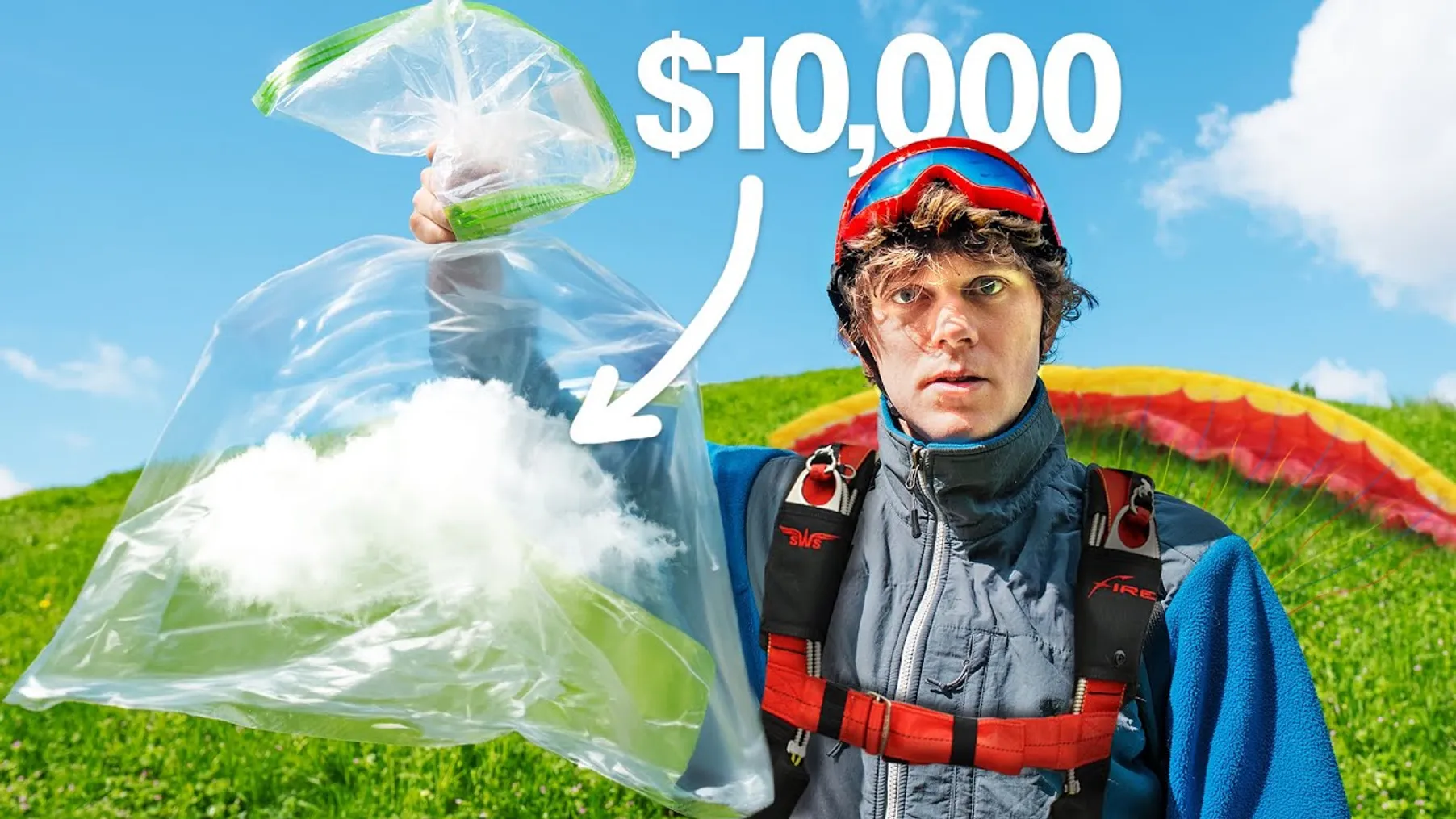 I Caught A Cloud In A Bag & Sold It As Art Preview