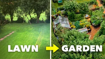 Bare Lawn to Sustainable Garden Eden: How he Did it Preview
