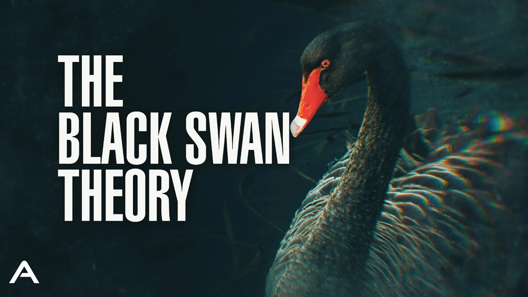 The Black Swan Theory Preview
