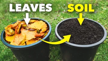 The Clever Way Smart Gardeners Make Amazing Soil Preview
