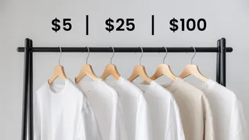 $100 vs $25 vs $5 WHITE T-SHIRT Preview