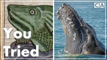 Hilariously Inaccurate Medieval Art of Animals Preview