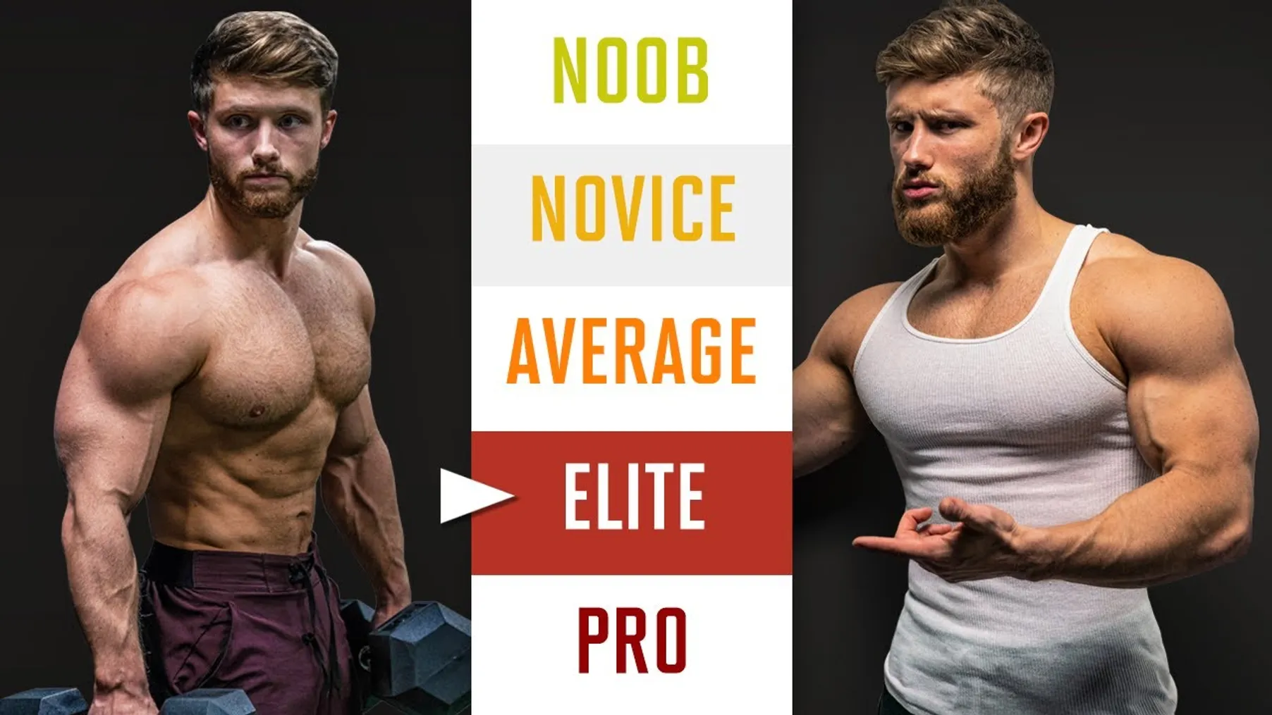 How To Build Muscle (Explained In 5 Levels) Preview