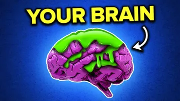 Brain Rot Is Holding You Back Preview
