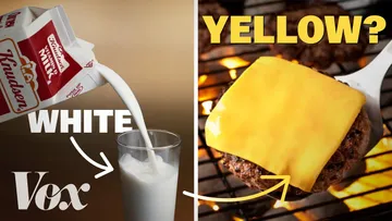 The real reason cheese is yellow Preview