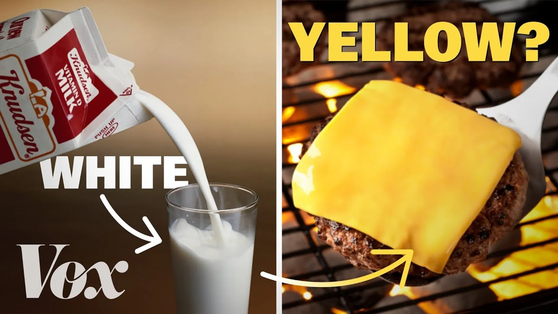 The real reason cheese is yellow Preview