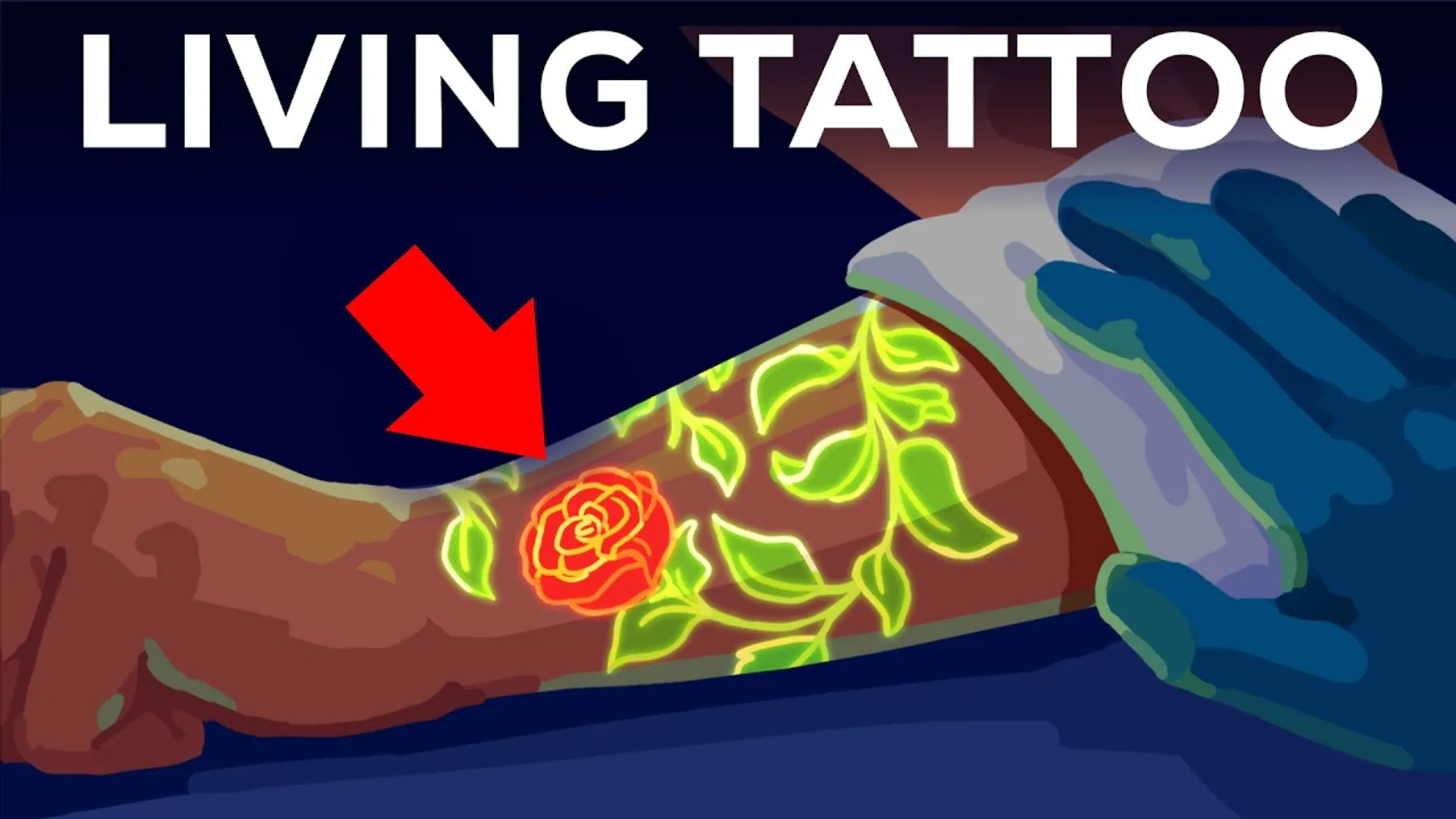 Your Tattoo is INSIDE Your Immune System. Literally Preview