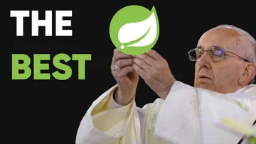 Why Spring Boot is the BEST Backend Framework Preview