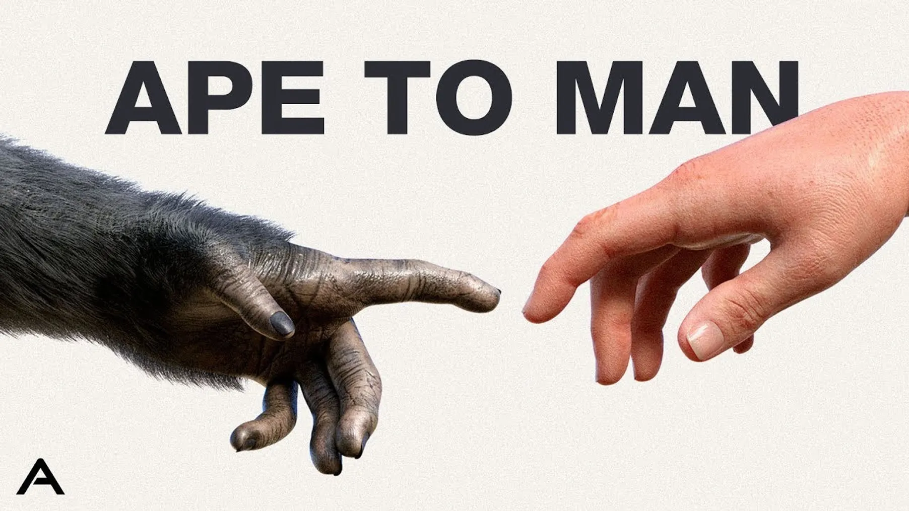 The Entire History of Humanity In 10 Minutes Preview