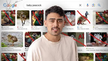 Google doesn't work anymore Preview