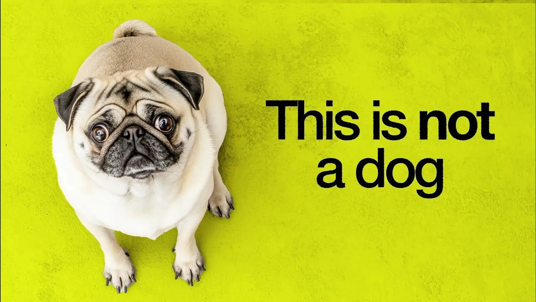 How Humans Ruined Dogs Preview